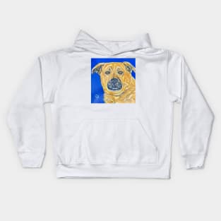 Stormy Kids Hoodie